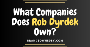 What Companies Does Rob Dyrdek Own