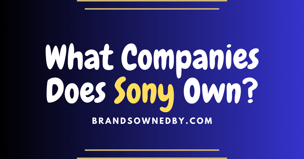 What Companies Does Sony Own