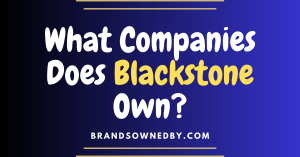 what companies does blackstone own