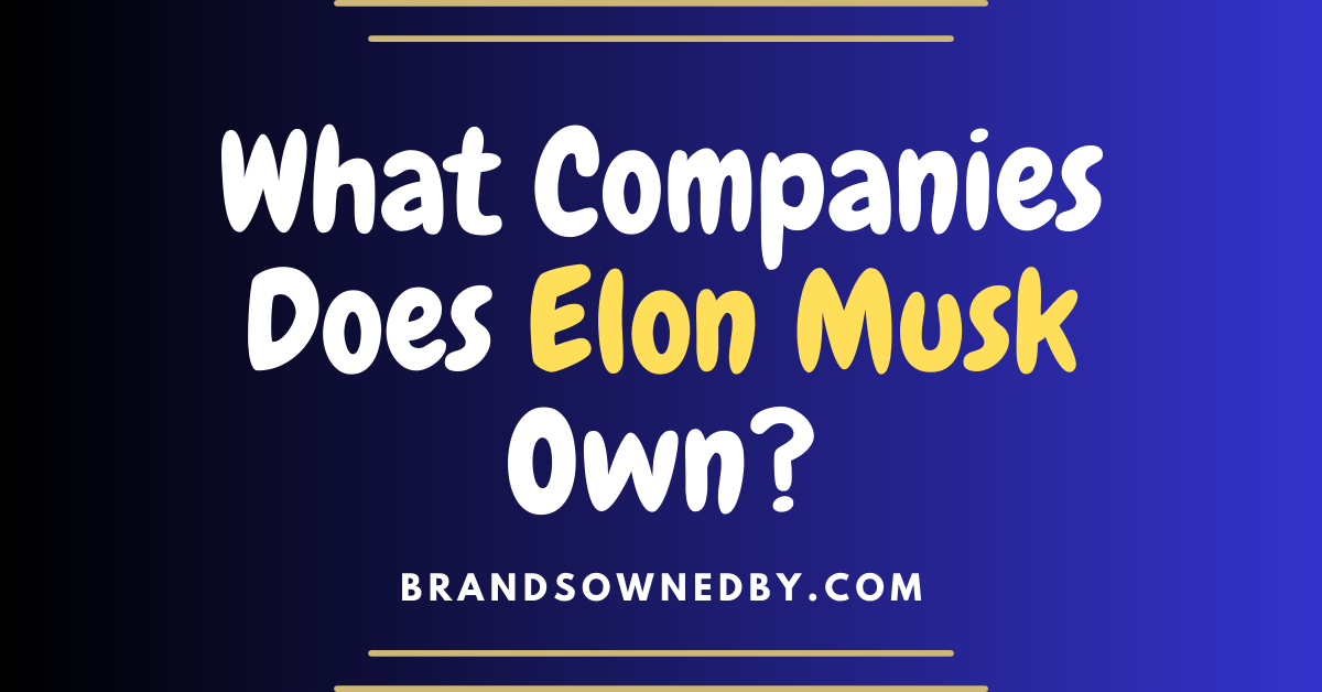 what companies does elon musk own