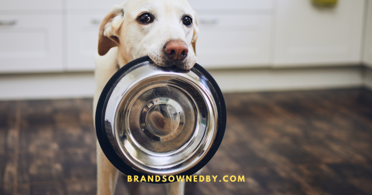 dog with bowl in its mouth