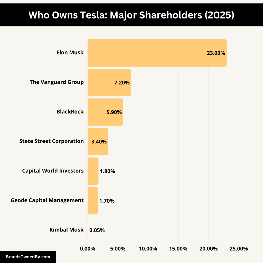 Who Owns Tesla