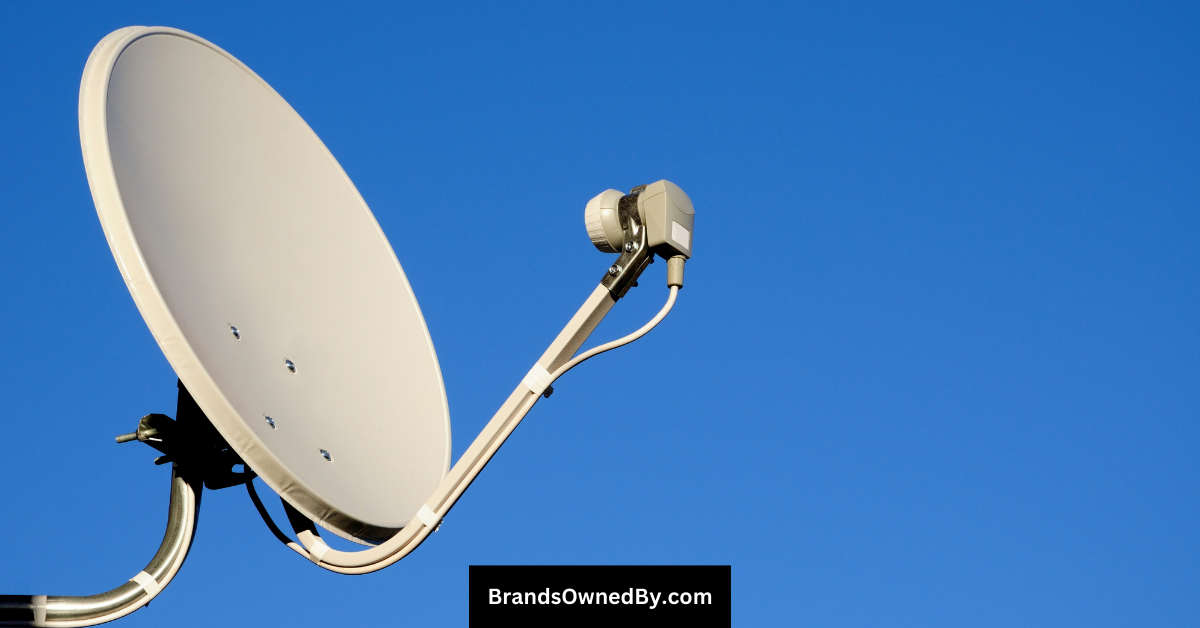 who owns Sky TV