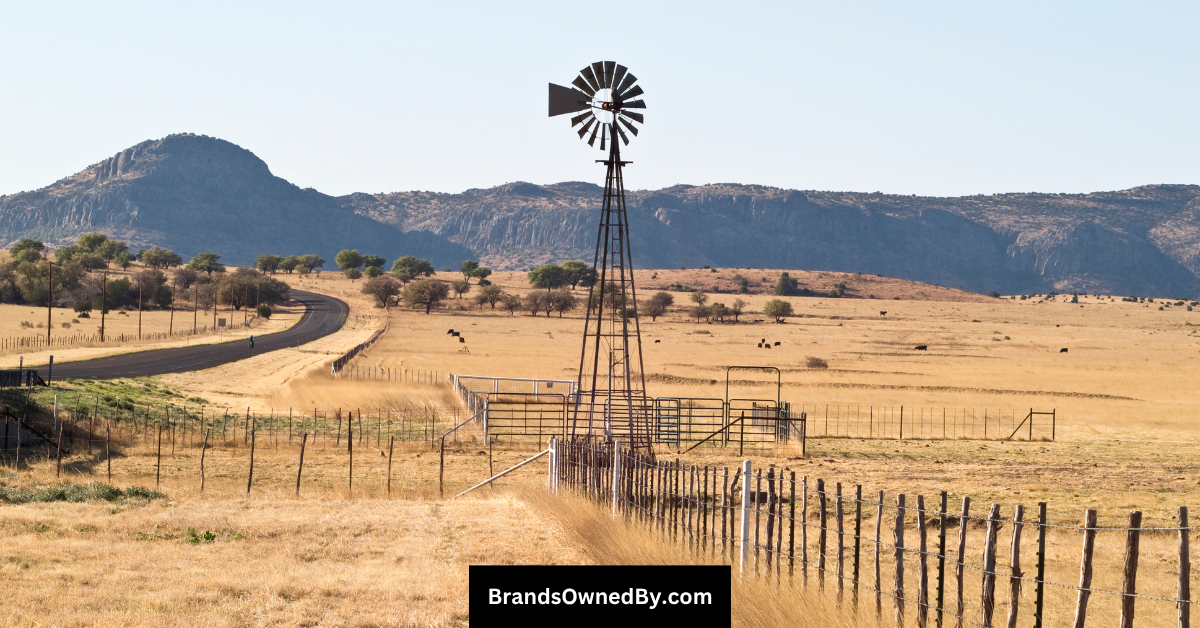 who owns King Ranch