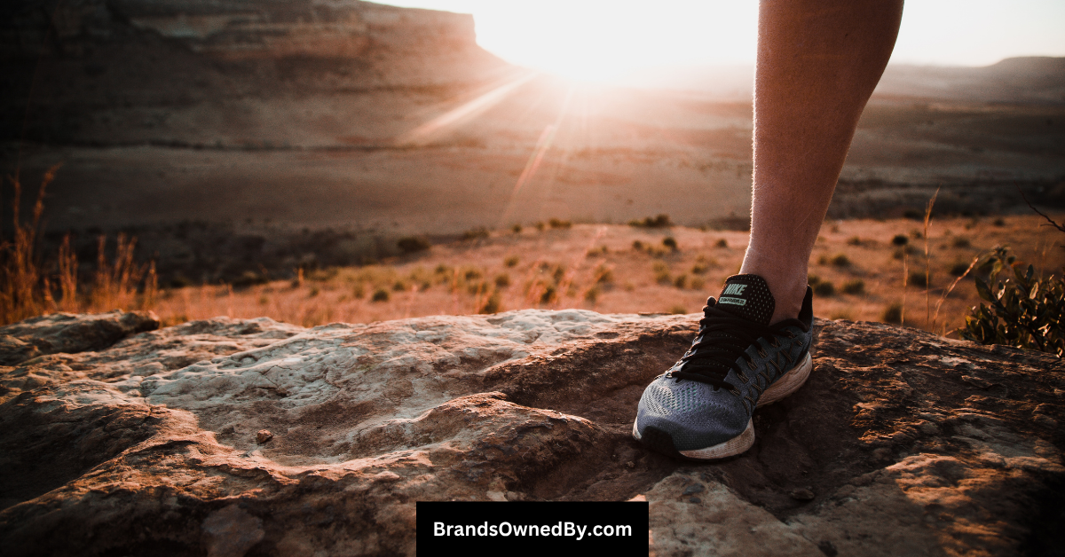 who owns nike