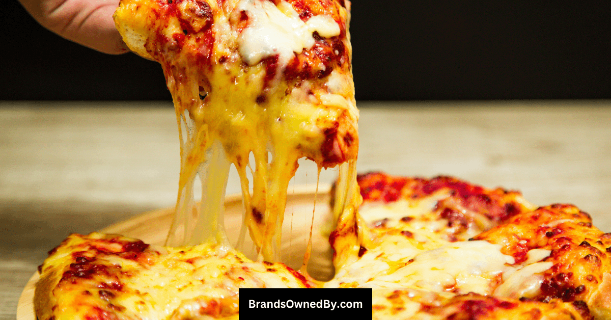 who owns Chuck E. Cheese