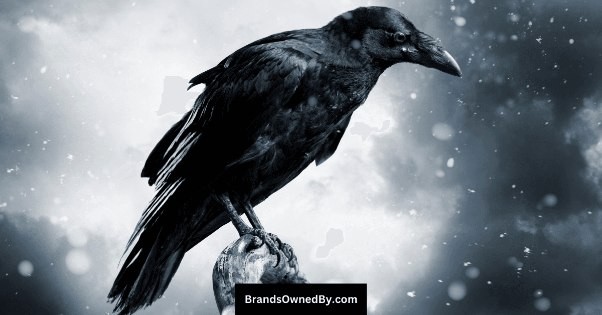 Who Owns Baltimore Ravens: Major Shareholders