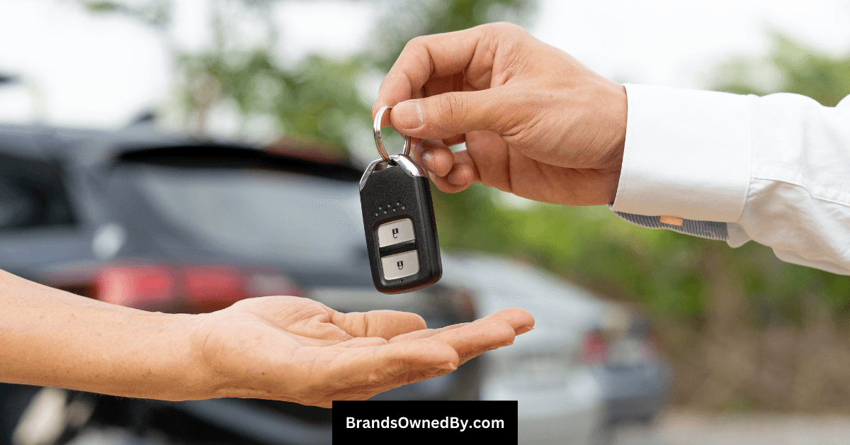 Who Owns CarMax: Largest Shareholders