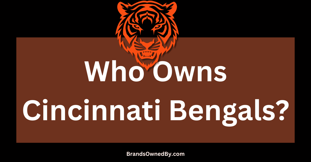 Who Owns Cincinnati Bengals