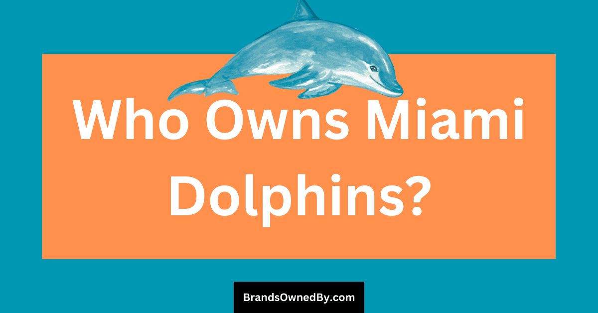 Who Owns Miami Dolphins: Top Shareholders