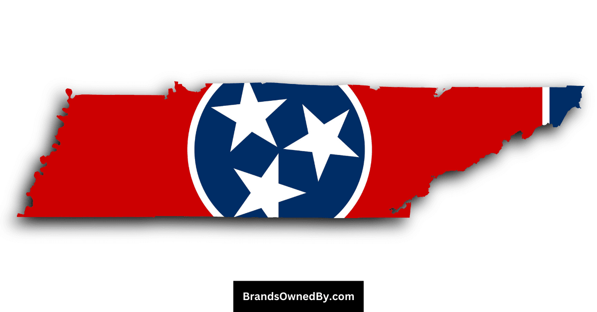 who owns Tennessee Titans