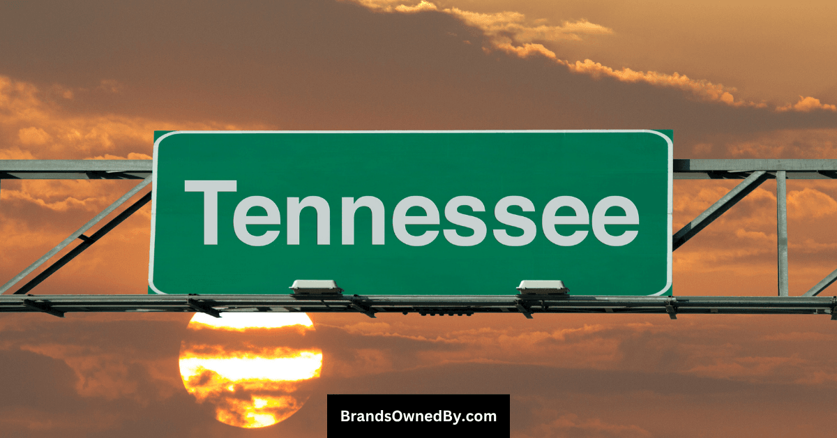 Who Owns Graceland: Major Shareholders