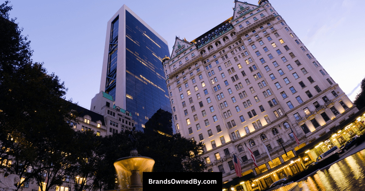 Who Owns Plaza New York: Ownership Insights