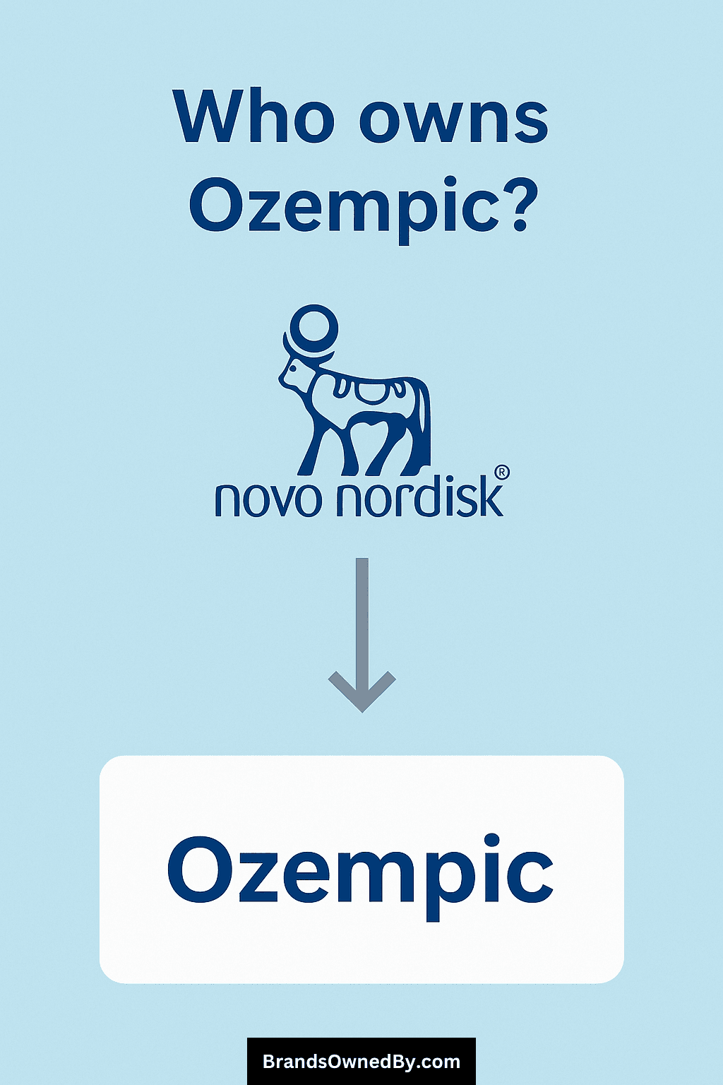 who is ozempic owned by