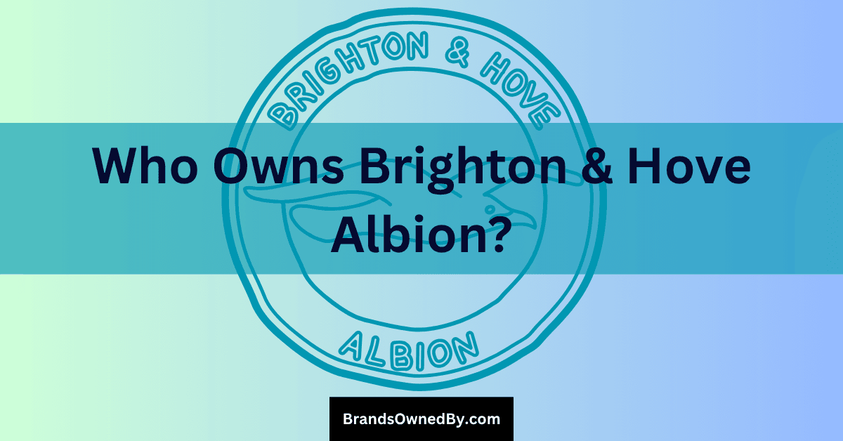 Who Owns Brighton & Hove Albion FC?