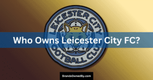Who Owns Leicester City