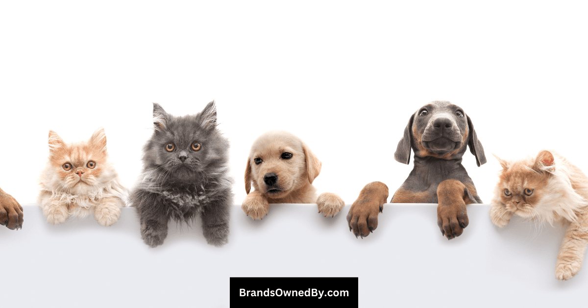 Who Owns Chewy: Top Shareholders