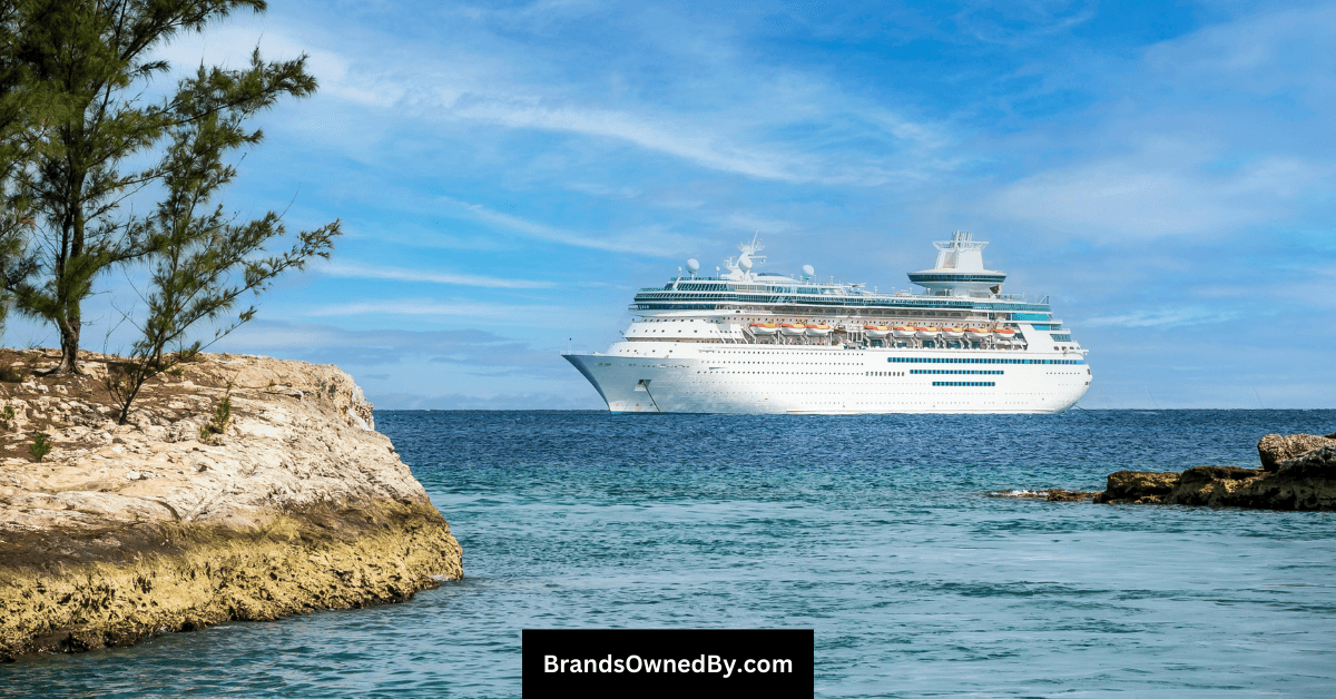 Who Owns Royal Caribbean Group: Major Shareholders