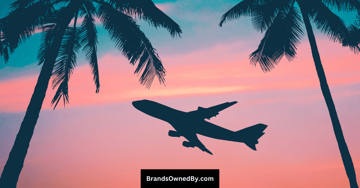 Who Owns Alaska Airlines: Top Shareholders