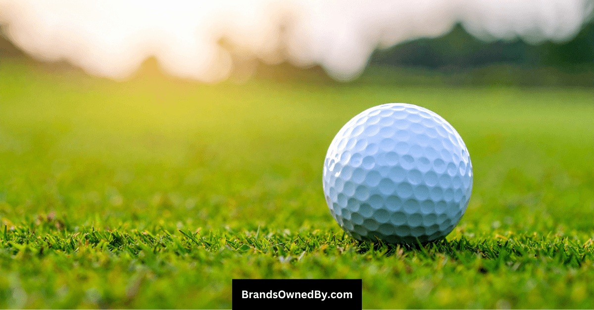 Who Owns Topgolf: Top Shareholders