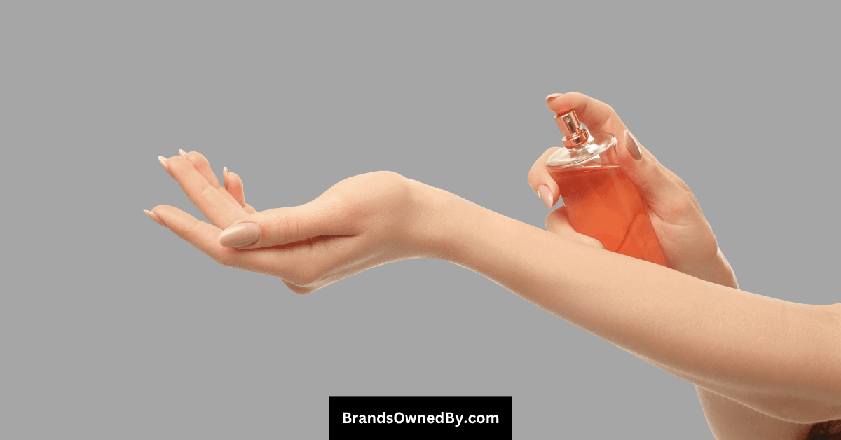 Who Owns Bath & Body Works: Top Shareholders